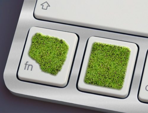 Greenwashing: Qué es y cómo afecta a marcas y consumidores